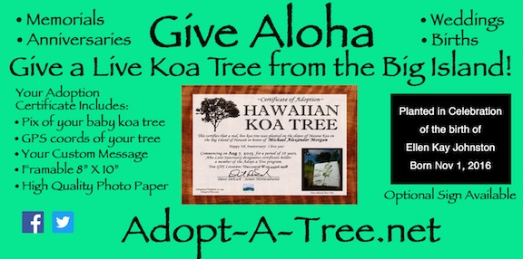 Hana Hou Magazine Ad