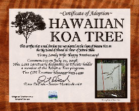 Adopt A Tree Certificate