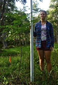 Sample Koa Image 6